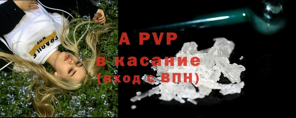 крисы Баксан