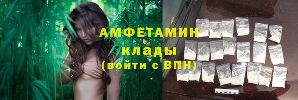 крисы Баксан